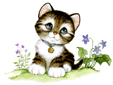 Image hébergée par Casimages.com : votre hébergeur d images simple et gratuit