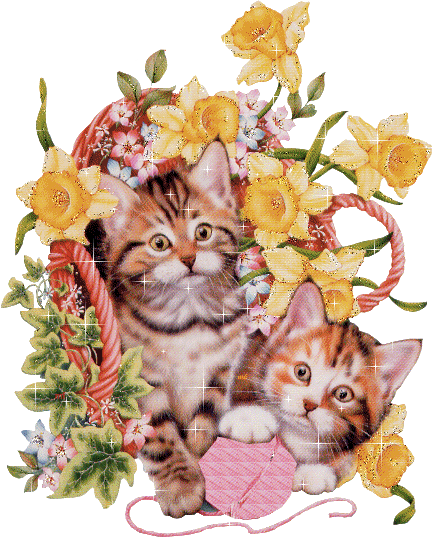 Image hébergée par Casimages.com : votre hébergeur d images simple et gratuit