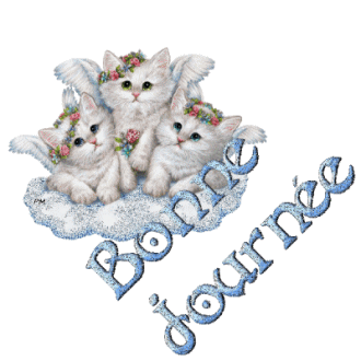 Image hébergée par Casimages.com : votre hébergeur d images simple et gratuit