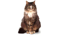Image hébergée par Casimages.com : votre hébergeur d images simple et gratuit