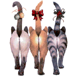Image hébergée par Casimages.com : votre hébergeur d images simple et gratuit