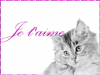 Image hébergée par Casimages.com : votre hébergeur d images simple et gratuit