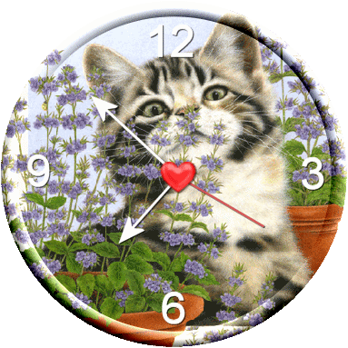 Image h�berg�e par Casimages.com : votre h�bergeur d images simple et gratuit