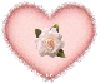 Image hébergée par Casimages.com : votre hébergeur d images simple et gratuit