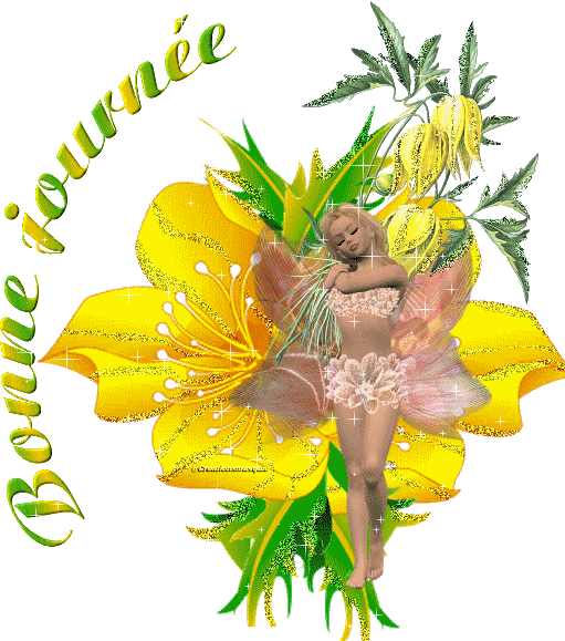 Image h�berg�e par Casimages.com : votre h�bergeur d images simple et gratuit