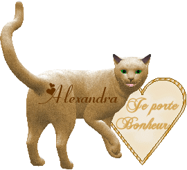 Image h�berg�e par Casimages.com : votre h�bergeur d images simple et gratuit