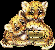 Image h�berg�e par Casimages.com : votre h�bergeur d images simple et gratuit
