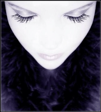 Image h�berg�e par Casimages.com : votre h�bergeur d images simple et gratuit