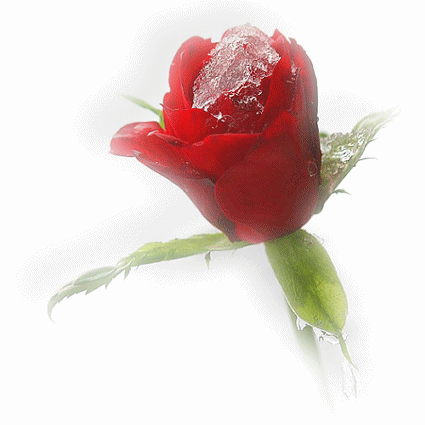 Image h�berg�e par Casimages.com : votre h�bergeur d images simple et gratuit