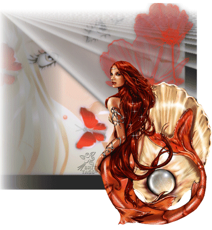 Image h�berg�e par Casimages.com : votre h�bergeur d images simple et gratuit