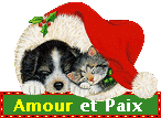 Image hébergée par Casimages.com : votre hébergeur d images simple et gratuit