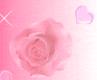 Image hébergée par Casimages.com : votre hébergeur d images simple et gratuit