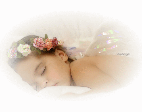 Image h�berg�e par Casimages.com : votre h�bergeur d images simple et gratuit