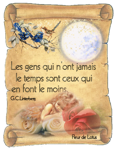 Image hébergée par Casimages.com : votre hébergeur d images simple et gratuit