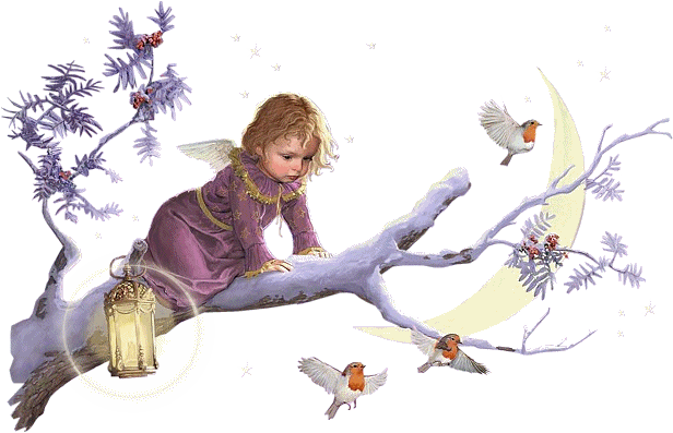 Image hébergée par Casimages.com : votre hébergeur d images simple et gratuit