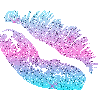 Image hébergée par Casimages.com : votre hébergeur d images simple et gratuit
