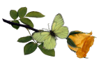 Image hébergée par Casimages.com : votre hébergeur d images simple et gratuit