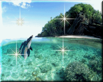 Image hébergée par Casimages.com : votre hébergeur d images simple et gratuit
