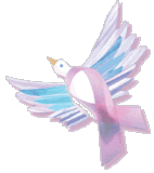 Image hébergée par Casimages.com : votre hébergeur d images simple et gratuit