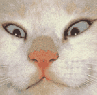 http://www.casimages.com/img/gif/mini_070907110119131521175992.gif
