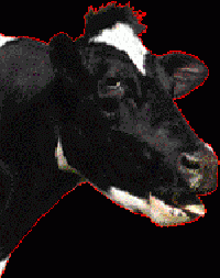 http://www.casimages.com/img/gif/mini_070908113118131521187793.gif
