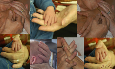 Image hébergée par Casimages.com : votre hébergeur d images simple et gratuit