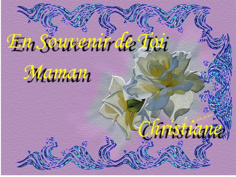 Image hébergée par Casimages.com : votre hébergeur d images simple et gratuit