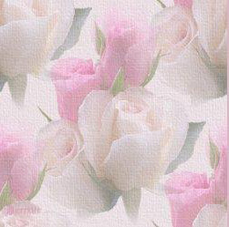 Image hébergée par Casimages.com : votre hébergeur d images simple et gratuit