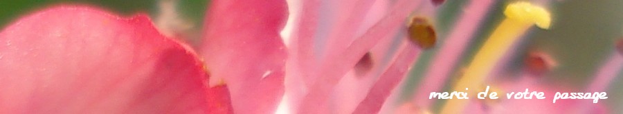 Image hébergée par Casimages.com : votre hébergeur d images simple et gratuit