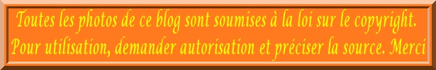 Image hébergée par Casimages.com : votre hébergeur d images simple et gratuit