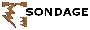Ceci est le bouton pour cr�er un nouveau sondage dans la section courante . Ce bouton vous emmenera vers le formulaire de cr�ation d'un nouveau sondage et une fois les informations ad�quats remplies , le sondage sera cr�er dans la Section ou vous aurez cliquer sur ce bouton .