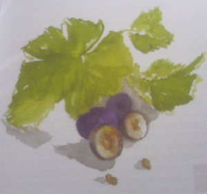 Image hébergée par Casimages.com : votre hébergeur d images simple et gratuit