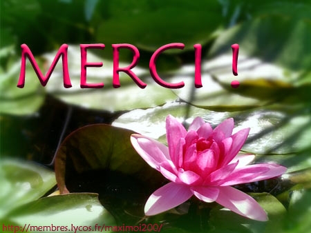 Image hébergée par Casimages.com : votre hébergeur d images simple et gratuit