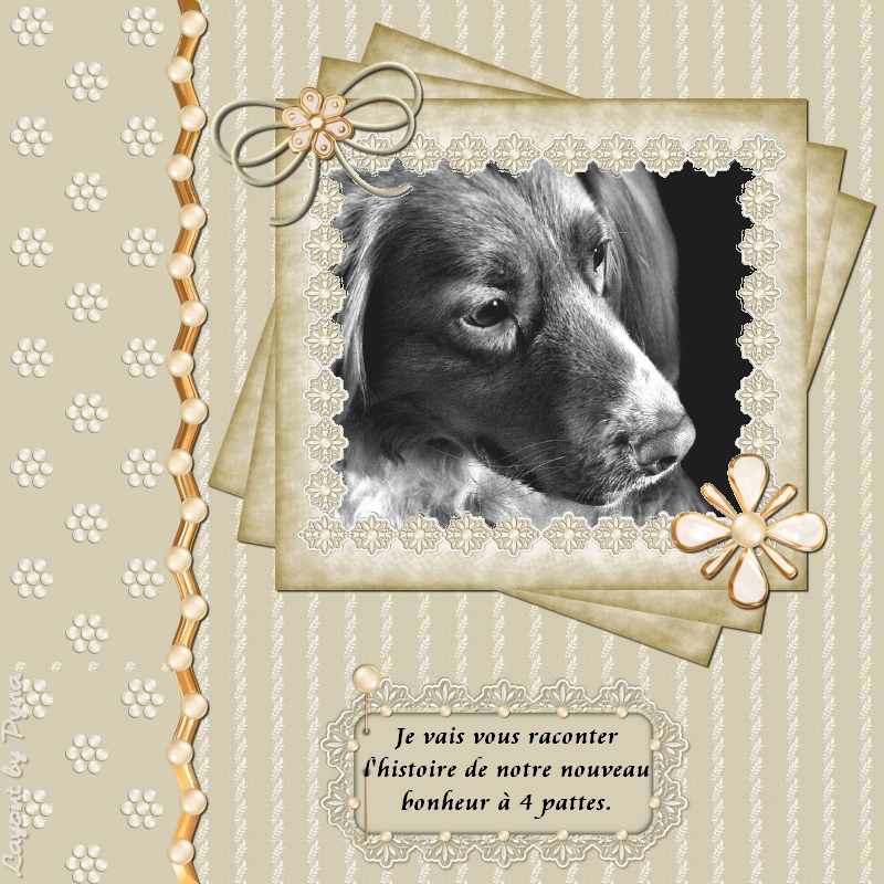 Image hébergée par Casimages.com : votre hébergeur d images simple et gratuit