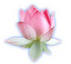 Image hébergée par Casimages.com : votre hébergeur d images simple et gratuit