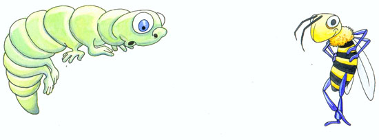 Image hébergée par Casimages.com : votre hébergeur d images simple et gratuit