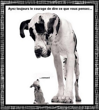 Image h&eacute;berg&eacute;e par Casimages.com : votre h&eacute;bergeur d images simple et gratuit