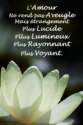 Image hébergée par Casimages.com : votre hébergeur d images simple et gratuit