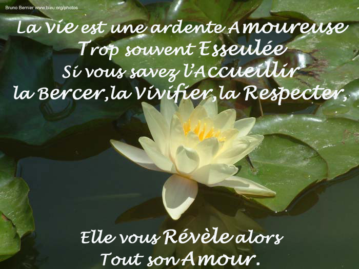Image hébergée par Casimages.com : votre hébergeur d images simple et gratuit