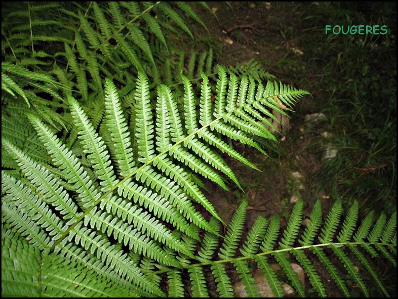 Image h&eacute;berg&eacute;e par Casimages.com : votre h&eacute;bergeur d images simple et gratuit