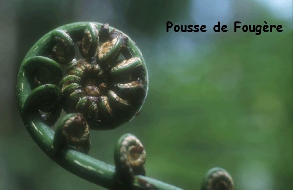 Image h&eacute;berg&eacute;e par Casimages.com : votre h&eacute;bergeur d images simple et gratuit
