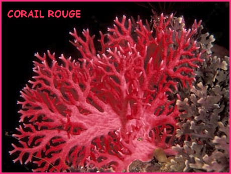 Image h&eacute;berg&eacute;e par Casimages.com : votre h&eacute;bergeur d images simple et gratuit
