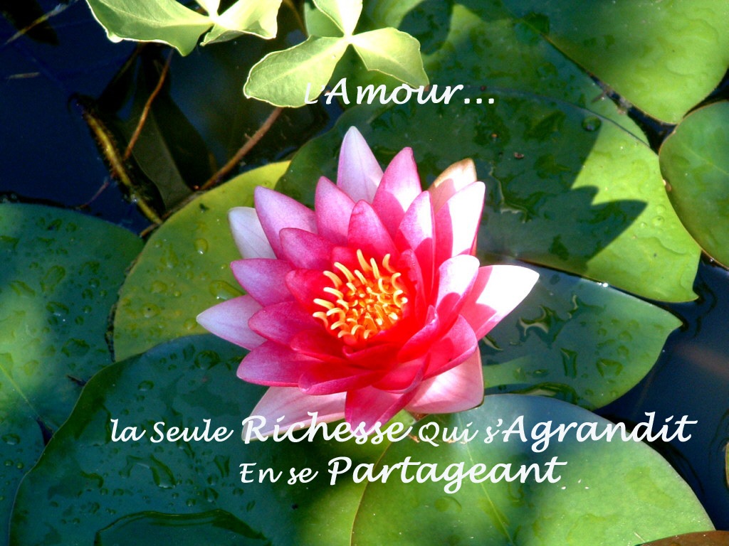 Image hébergée par Casimages.com : votre hébergeur d images simple et gratuit