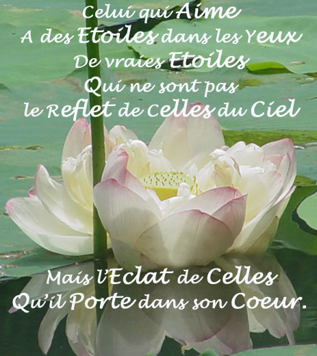 Image hébergée par Casimages.com : votre hébergeur d images simple et gratuit