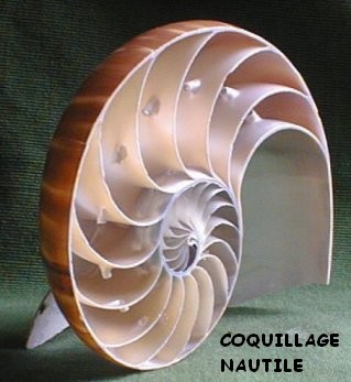 Image h&eacute;berg&eacute;e par Casimages.com : votre h&eacute;bergeur d images simple et gratuit