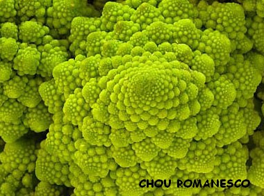 Image h&eacute;berg&eacute;e par Casimages.com : votre h&eacute;bergeur d images simple et gratuit