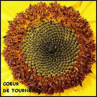 Image hébergée par Casimages.com : votre hébergeur d images simple et gratuit