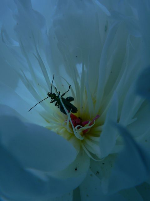 Image hébergée par Casimages.com : votre hébergeur d images simple et gratuit