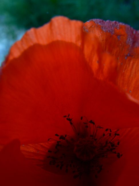 Image hébergée par Casimages.com : votre hébergeur d images simple et gratuit