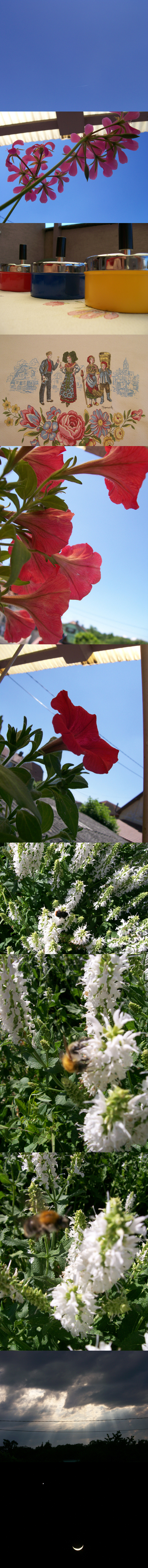 Image hébergée par Casimages.com : votre hébergeur d images simple et gratuit